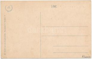 Brassó, Kronstadt, Brasov; Noa nyaraló vasútállomás vonattal. Vasúti levelezőlapárusítás / Station N...