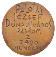 Palotás József (1947- ) DN Kétoldalas bronz névjegyérem (57mm) T:1-