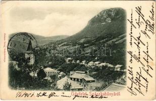 1901 Szászkabánya, Németszászka, Sasca Montana; látkép. Johann Lang kiadása / general view (EB)
