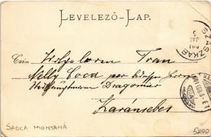 1901 Szászkabánya, Németszászka, Sasca Montana; látkép. Johann Lang kiadása / general view (EB)