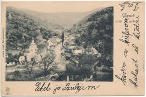 1902 Vaskő, Moravica-Eisenstein, Ocna de Fier; látkép, templom. Adolf Rosner kiadása / general view with church (EK)