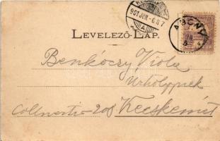 1901 Abony, Kaszinó, Csendőrlaktanya, Vendéglő az abonyi tanyához, Abonyi Lajos háza. Kiadja Vörös L...