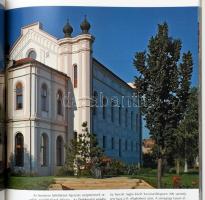 Podonyi Hedvig: Zsinagógák Magyarországon. Synagogues in Hungary. Fényképezte: Tóth József. Bp., [20...