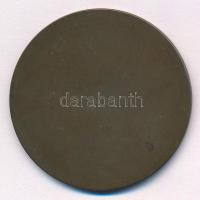 Murányi Gyula (1881-1920) 1909. "Francesco Ferrer emlékére" egyoldalas Br emlékérem (50mm)...