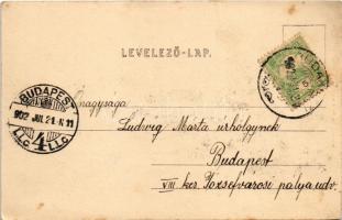 1902 Budakeszi, Kávária hegy. Stern Jakab kiadása (fl)