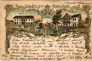 1899 (Vorläufer) Csízfürdő, Kúpele Cíz; Szanatórium, Kútház ivócsarnokkal, Nedeczky telep, villa. Fogel Mór, Miskolcz. Márkus D. Műintézete / sanatorium, spring source, villa. Art Nouveau, floral, litho (vágott / cut)