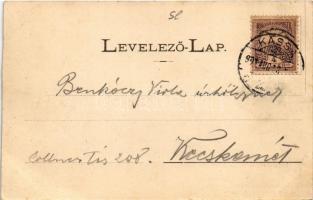 1901 Kassa, Kosice; Lajos-forrás, vendéglő. László Béla kiadása / spring source, restaurant (vágott ...