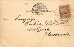 1900 Rozsnyó, Roznava; Vasas fürdő, Evangélikus polgári leányiskola, püspöki székház, Krasznahorka v...