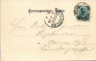 1902 Krems an der Donau, Gruss aus Alt-Krems. Piaristenkirche, Hoher Markt, Margarethenstrasse, Wegs...