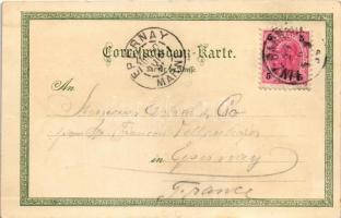 1896 (Vorläufer!!!) Linz, Brücke u. Urfahr, Hauptplatz, Marschners Hotel Erzherzog Carl, Freinberg, ...