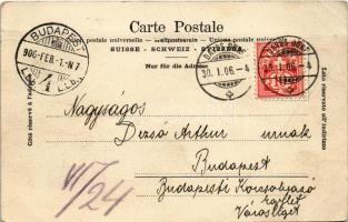 1906 Ice hockey, winter sport. Phot. und Verlag Ph. Bauch vorm. D. C. Adamson (Davos) No. 126. (fa)