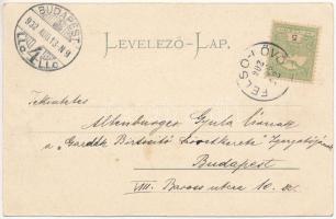 1902 Villámos, Willersdorf; Böhm-féle malom, Karner féle korcsma, kocsma. Otto Kiernbauer / Gasthaus...