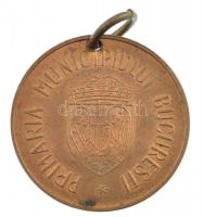 Románia 1939-1940. "Állatorvosi Szolgálat / Bukaresti Városháza" Br érem (kutyabárca?) T:2