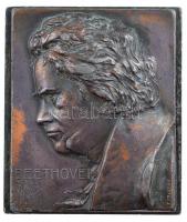 Ausztria ~1910. Beethoven egyoldalas Br plakett. Szign.: Franz Stiasny (66x56mm) T:2,2- patina, karc, ph Austria ~1910. Beethoven two-sided Br plaque. Sign.: Franz Stiasny (66x56mm) C:XF,VF patina, scratch, edge error