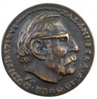 Csúcs Ferenc (1905-1999) 1976. "Zaláni Béla a jó öreg numizmatikus" kétoldalas Br emlékérem, peremén "12" sorszám (~92mm) T:2 patina