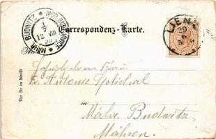 1899 (Vorläufer) Lienz (Tirol), Schloss Bruck / general view, castle. Art Nouveau, floral, litho (EK...