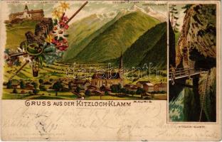 1893 (Vorläufer!!!) Rauris, Gruss aus der Kitzloch-Klamm. Meteorolog. Station a. d. Sonnblick. Lesk. u. Schwidernoch Art Nouveau, floral, litho (EK)