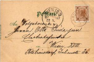 1899 (Vorläufer) Rappottenstein, Marktplatz, Schloss Hammer, Schütt a. kl. Kamp. Kunstanstalt Karl S...