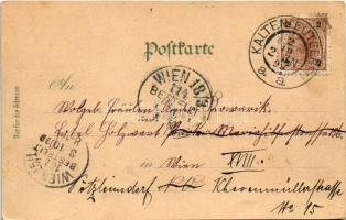 1899 (Vorläufer) Kaltenleutgeben, Josef-Warte, Julien Turm, Gaisberg. Kunstanstalt Karl Schwidernoch...