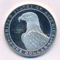 Amerikai Egyesült Államok 1983S 1$ Ag "XXIII. Nyári Olimpiai Játékok, Los Angeles" T:PP fo...