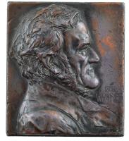 Ausztria ~1910. Richard Wagner egyoldalas Br plakett. Szign.:Franz Stiasny (66x58mm) T:2,2- patina, ph, ü. Austria ~1910. Richard Wagner one-sided Br plaque. Sign.: Franz Stiasny (66x58mm) C:XF,VF patina, edge error, ding