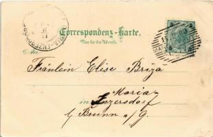 1900 Maria Schutz bei Semmering, Mariaschutz; Wallfahrtskirche / pilgrimage church. Regel & Krug...