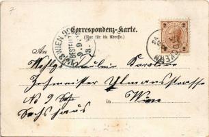 1898 (Vorläufer) Maria Dreieichen (Mold), Wallfahrtskirche, Bründl / pilgrimage church. Lith. u. Dru...