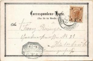 1898 (Vorläufer) Maria Enzersdorf, Heil der Kranken, Schloss Liechtenstein, Lourdes-Brunnen / pilgri...