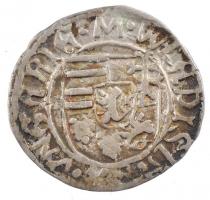 1490-1494. Denár Ag II. Ulászló (0,55g) T:2 patina Hungary 1490-1494. Denar Ag Wladislaus II (0,55g) C:XF patina Huszár: 803. Unger I.: 638.e