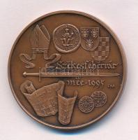 Fritz Mihály (1947-) 1995. "Könyves Kálmán, II. István / Székesfehérvár MÉE 1995" kétoldalas Br emlékérem (42,5mm) T:1 kis patina Adamo SF27