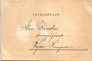 1900 Lady art postcard, decorated litho (EB)