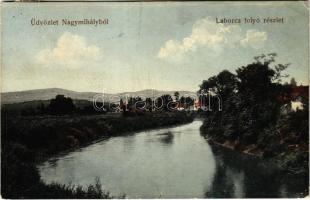 1918 Nagymihály, Michalovce; Laborc folyó / Laborec riverside (EK)