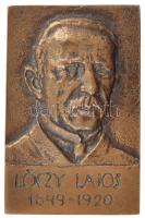 DN Lóczy Lajos 1849-1920 egyoldalas Br plakett (68x45mm) T:2