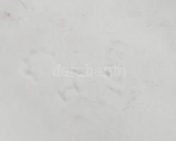 Rózsás dísz öntözőkanna, biszkvit porcelán, kézzel festett, jelzett, kis kopással, m: 11 cm