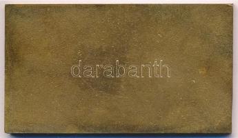 Csúcs Viktória (1934-) DN "Országos Hadtörténeti Múzeum, Budapest" egyoldalas Br plakett (...