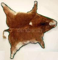 Borjúbőr kikészítve falra szerelhető és szép állapotban, fejtől farokig 190cm