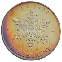 1977. "25 éves a Lehel hűtőgépgyár / 1952-1977 Jászberény" kétoldalas, peremen jelzett Ag ...