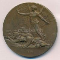 Osztrák-Magyar Monarchia 1914. "Ferenc József" kétoldalas Br emlékérem. Szign.: Rudolf Neu...