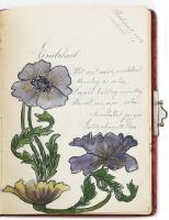 1913-1915 Bp., emlékkönyv, kézzel írt bejegyzésekkel, rajzokkal, bársony borítású kapcsos füzetben