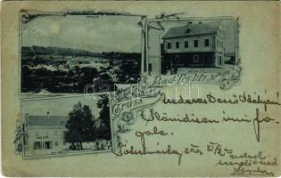 1899 (Vorläufer) Dolenjske Toplice, Bad Teplitz (Töplitz) in Krain (Kranjska, Carniola); Haus Ignac Sitar und Ivan Sitar / shops. Art Nouveau, floral (EK)
