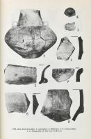 Cegléd története. Szerk.: Ikvai Sándor. Studia Comitatensia 11. Szentendre, 1982, Pest megyei Múzeum...