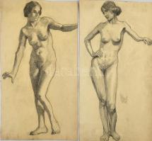 Weber Frida (1891-?), 2 db mű: Álló női akt. Ceruza, papír, jelzés nélkül. 43×27 és 43x25,5 cm