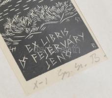 Gy. Szabó Béla (1905-1985): Ex libris Dr. Fejérváry Jenő. Fametszet, papír, jelzett, 8×3,5 cm, üvege...
