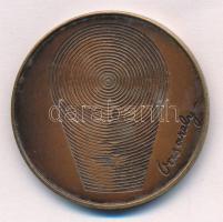 Lapis András (1942-) 1984. "Lecek - HNF / Vasarely" kétoldalas Br emlékérem (42,5mm) T:2 k...