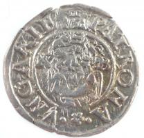 1577K-B Denár Ag "Miksa" (0,44g) T:1-,2 patina Hungary 1577K-B Denar Ag "Maximilian&q...