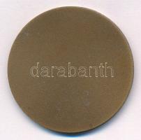 DN "Nyíregyháza városért" egyoldalas Br emlékérem (42,5mm) T:1- kis ü