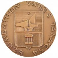 DN "Szombathely város tanácsa" Br emlékérem (60mm) T:1- kis ph