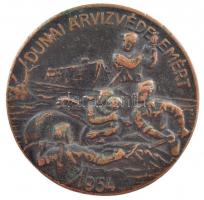 1954. Dunai árvízvédelemért Br jelvény (37mm) T:2