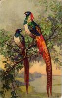 1927 Birds (EB)