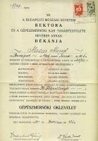 1944 Gépészmérnöki bizonyítvány és oklevél, híres tanárok aláírásával